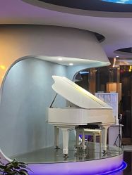 -比华利美容医院