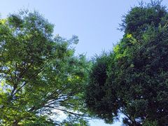 -黑石礁公园