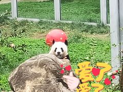 -西安秦岭野生动物园