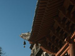 -敦煌莫高窟
