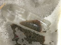 -那香海钻石沙滩浴场