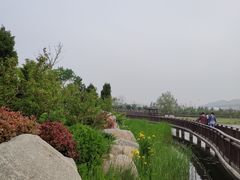 -羊亭河湿地公园