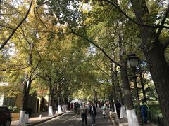 -八大关景区
