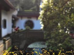 -虎跑公园
