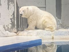 -大连圣亚海洋世界