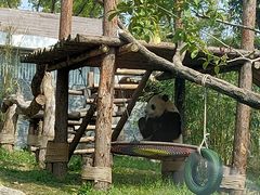 -武汉动物园