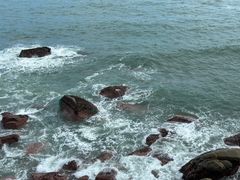 -广东惠东海龟国家级自然保护区