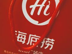 -海底捞大排档火锅(悦荟广场店)