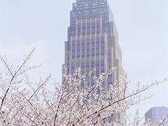 -西北湖绿化广场