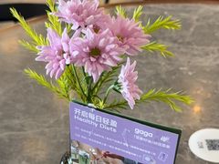 -gaga(北京新中关购物中心店)