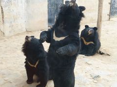 -石家庄市动物园