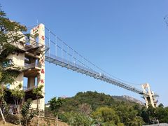 -客天下恐龙水晶玻璃桥