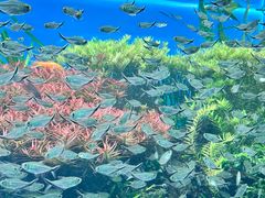 -海合安天津极地海洋公园