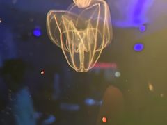 -欢乐海岸海洋奇梦馆