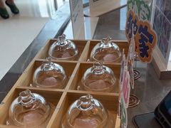 -帕帕拉兹宠物(亚洲旗舰店)