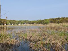 -同里国家湿地公园