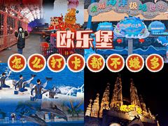 -泉城欧乐堡海洋极地世界