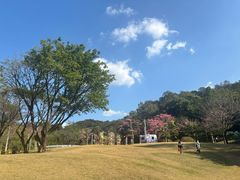 -云溪植物园
