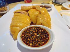 -新高记·粤菜·湛江鸡(南头古城店)