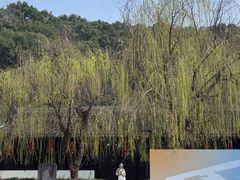 -余姚博物馆