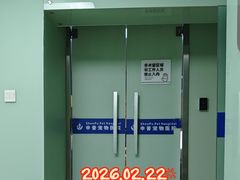 -申普宠物医院·心脏介入·心血管微创(总院)