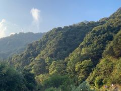 -祁门牯牛降观音堂风景区