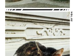 -上海佘山国家森林公园天马山园