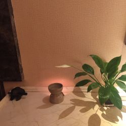 -iSpa泰美好