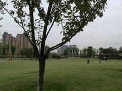 -府河摄影公园