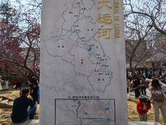 -桃花堤公园