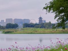 -洋湖国家湿地公园