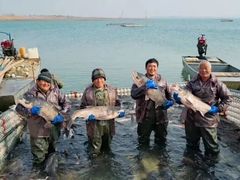 -南京金牛湖风景区