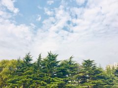 -上海市龙华烈士陵园