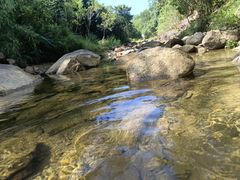 -广州白江湖森林公园