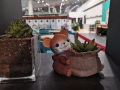 -肯德基(机场三店)