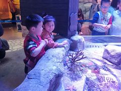 -沈阳海洋探索中心