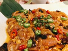猫抓藤椒鸡-猫抓烤肉(春熙路店)