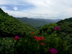 -宁波余姚老柿林山居度假村