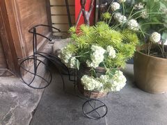 -Cafe Alice咖啡爱丽丝(奥城店)
