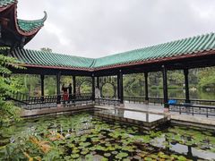 -桂湖森林公园