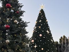 -中旅阿那亚九龙湖·公主酒店