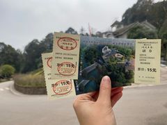 -中国大熊猫保护研究中心雅安碧峰峡基地