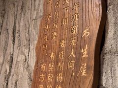 -破瓦寒窑·地摊烤羊排