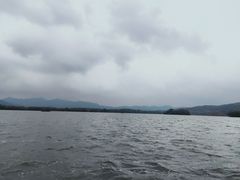 -西湖外事游船(花港观鱼码头)