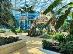 -石家庄市植物园