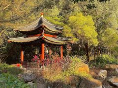 -顺峰山公园