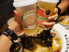山茶花油柑柑柑柠檬茶-太二酸菜鱼(沈阳万象城店)