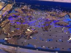 -澜悦港海鲜体验主题餐厅