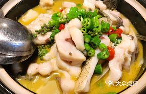 Fat Fish