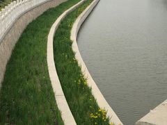 -东坝千亩湖公园